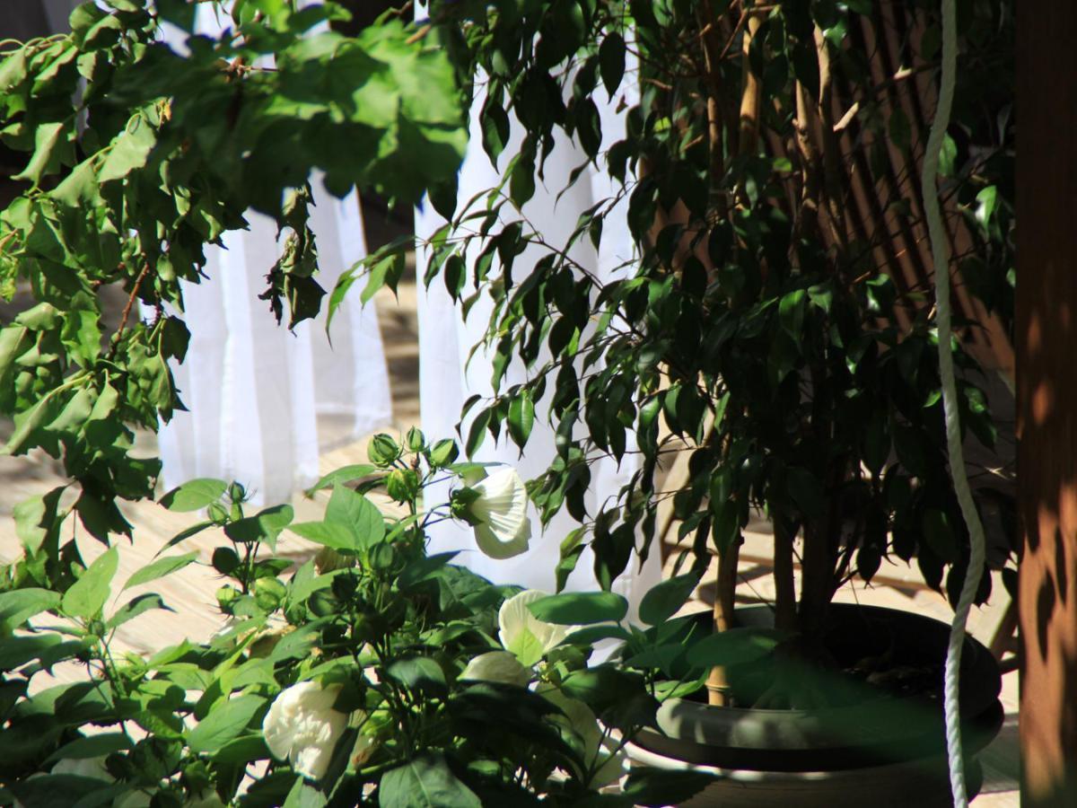 Les Pascals Bed & Breakfast Saint-Paul-lès-Romans Екстериор снимка