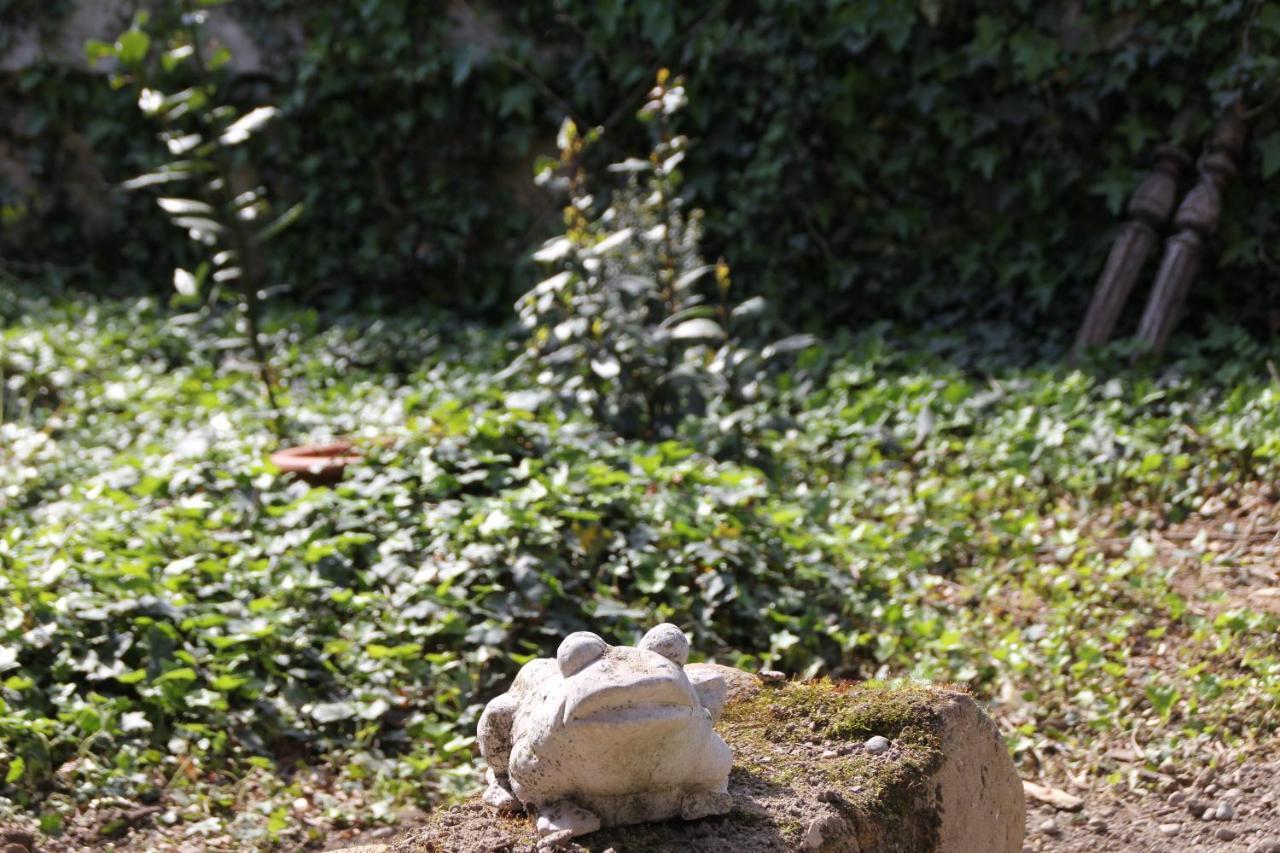 Les Pascals Bed & Breakfast Saint-Paul-lès-Romans Екстериор снимка
